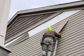 Best Vinyl Siding Installation  in Emerson, GA